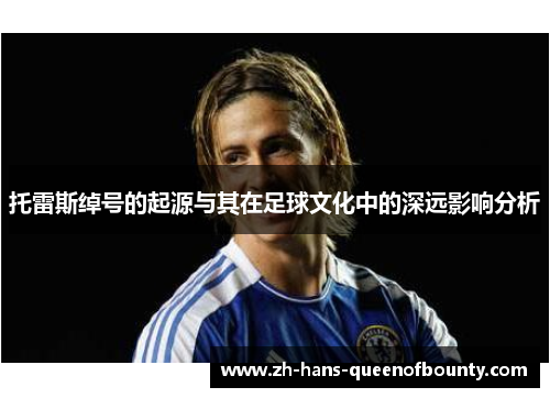 托雷斯绰号的起源与其在足球文化中的深远影响分析