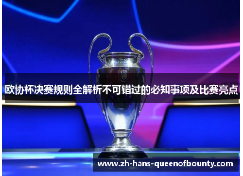欧协杯决赛规则全解析不可错过的必知事项及比赛亮点