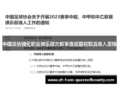 中国足协强化职业俱乐部欠薪审查逾期将取消准入资格
